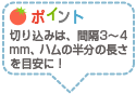 ポイント：切り込みは、間隔3～4mm、ハムの半分の長さを目安に！